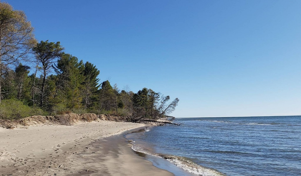 Kohler-Andrae State Park • Sheboygan, WI 3 scenic beachfront of Lake Michigan