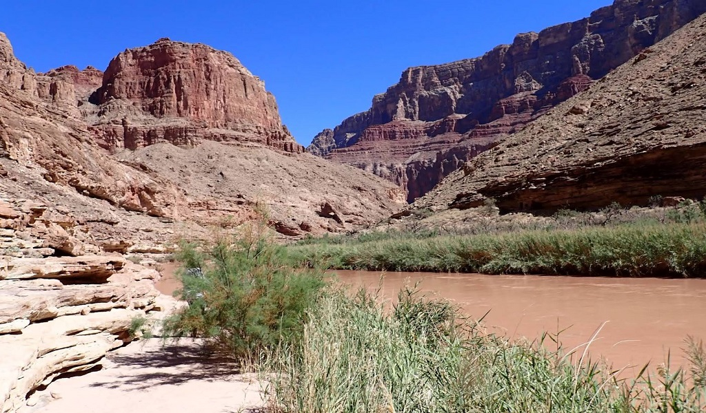 Family Viewpoint at Grand Canyon Scenic overlook along Desert View Drive in Grand Canyon National Park