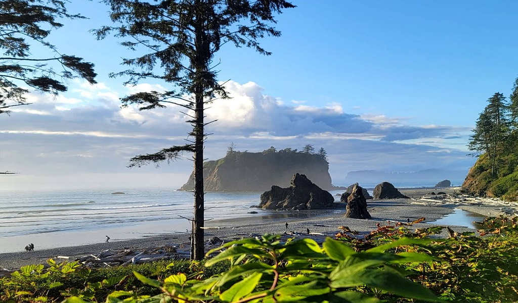 Olympic National Park • Washington 3 Olympic 1