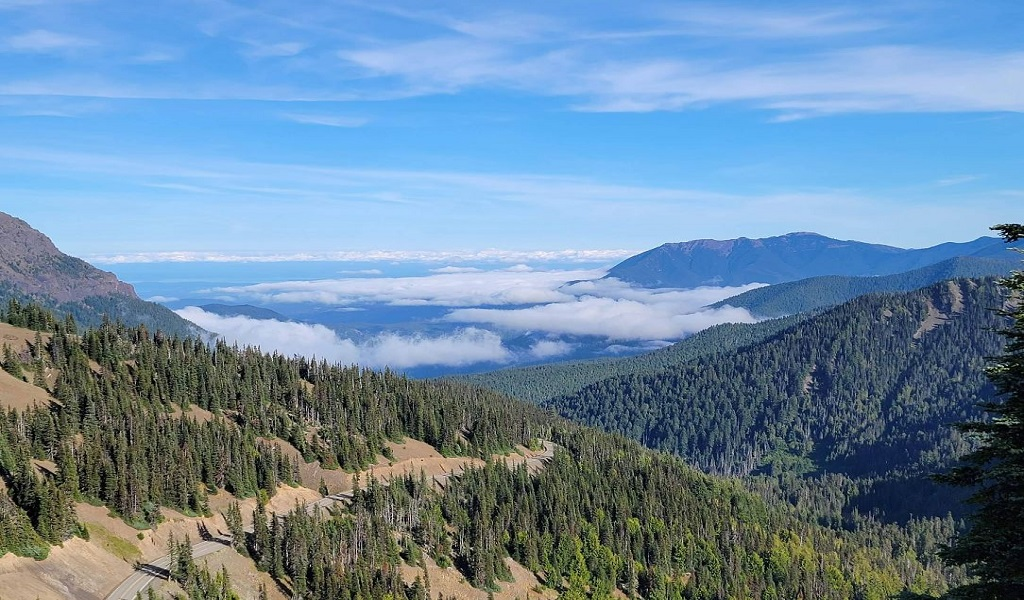 Olympic National Park • Washington