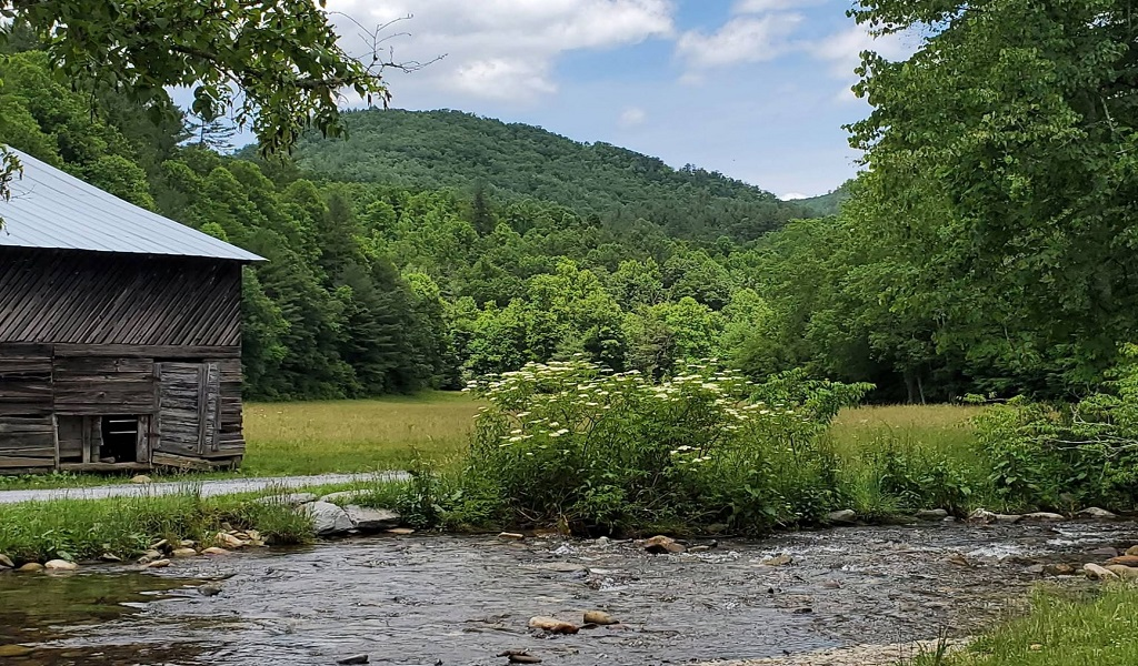 Great Smoky Mountains National Park • Gatlinburg, TN 3 Smoky Mountains 5