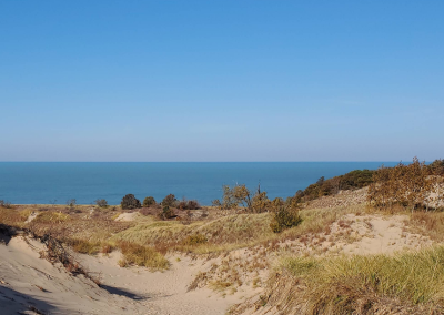 Warren Dunes State Park • Sawyer, MI