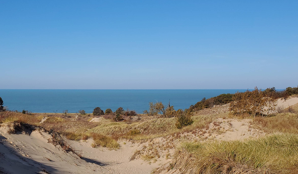 Warren Dunes State Park • Sawyer, MI